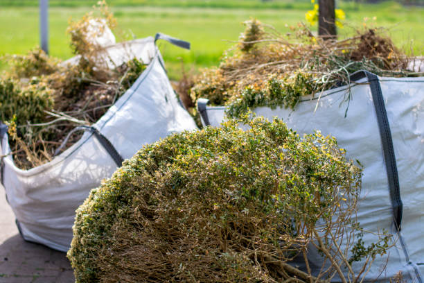 Best Office Junk Removal  in Evergreen Park, IL